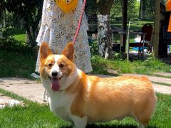 -桃园农庄·桃源宴