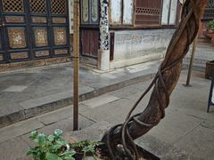 -朱家花园