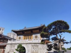 -西安大兴善寺