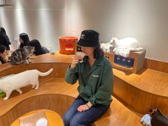 -有猫主题·治愈系猫咖(曾厝垵店)
