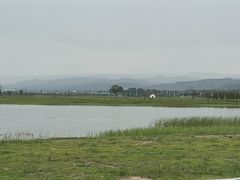 -敕勒川草原