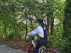 -盐城丹顶鹤湿地生态旅游区