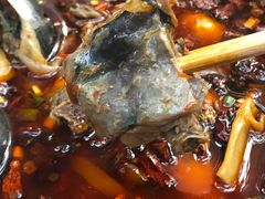 -黑竹香鸡(营和巷店)