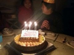 -丽莎蓓甜CAKE生日蛋糕·动物奶油(石家庄店)