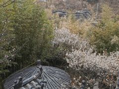 -老张烤羊(王哥庄店)