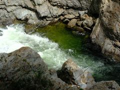 -黑河国家森林公园