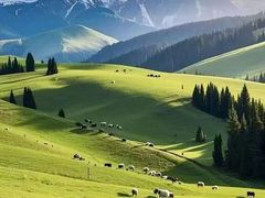 -新疆那拉提国家旅游度假区