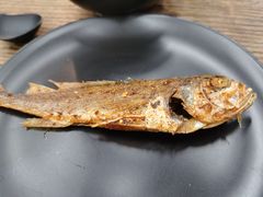 小黄鱼-蚝山·喷汽火山生蚝(前福路店)