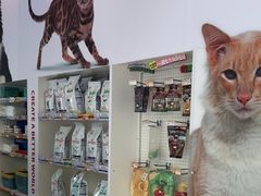 -瑞派申生动物医院·24H夜诊·国际动物医疗中心·骨外科(吴中路店)