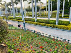 -五通灯塔公园