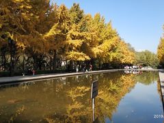 -玲珑塔公园