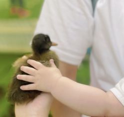 -萌宠亲子动物乐园(槐房万达店)