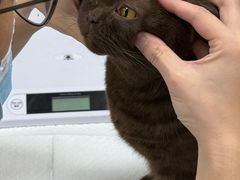 -美联众合动物医院·24h转诊中心