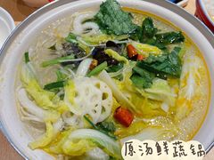 原汤鲜蔬锅-喜家德虾仁水饺(东方宝泰店)