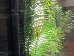 -耳湾躺式采耳SPA馆(保利五月花店)