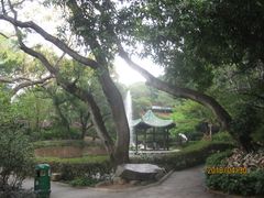 -九龙公园
