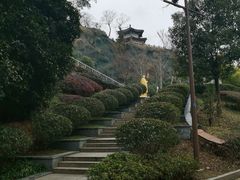 -九华山公园
