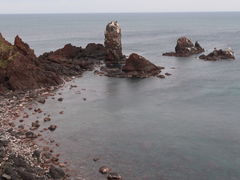 -涉地可支