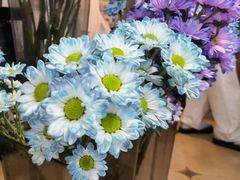 -ChaKo Flora ·茶子花艺 (市北店)