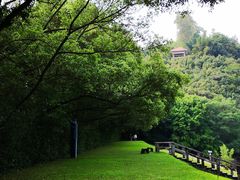 -雁南飞茶田景区