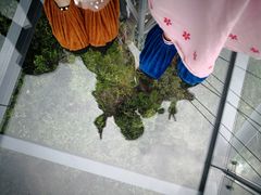 -呀诺达热带雨林