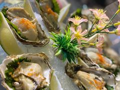 -千岛蚝高压锅生蚝·人参火锅(白云万达店)