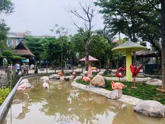 -灵玲国际马戏城