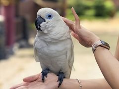 -深圳欢乐谷