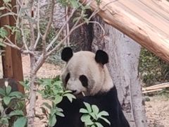 -灵玲国际马戏城