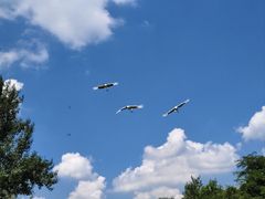 -沈阳鸟岛