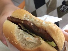 -华莱士·全鸡汉堡(济南大明湖店)