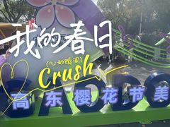 -高东镇樱花园