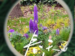 -共青国家森林公园-售票处