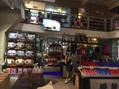 -猫咪博物馆(顶澳仔猫街店)