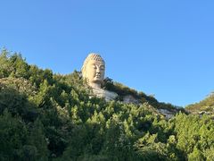 -蒙山大佛景区