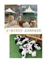 -萌宠亲子动物乐园(槐房万达店)