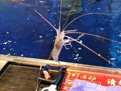 -钳真多钓虾馆·小龙虾海鲜烧烤(九六广场店)
