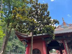 -黔灵山公园