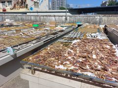 -海儀美食楼(湾仔海鲜街店)