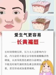 -星港国际·Skin皮肤专研·皮肤管理