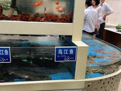 水产区-双井轩(双井店)