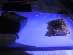 -香港会议展览中心演讲厅