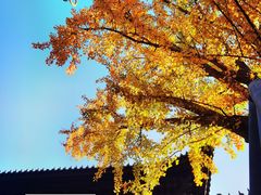 -重元寺