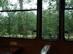 -合肥滨湖国家森林公园