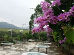 android_upload_pic-大王岭农庄