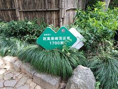 -雨花胜境