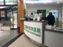 -爱侣宠医·鹦鹉专科·小型哺乳类·异宠专科(灵石路店)