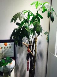 -NEW LOOK-绿麓 · 美甲美睫脱毛工作室