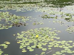 -南通洲际绿博园