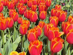 -玄武湖景区-情侣园游乐场